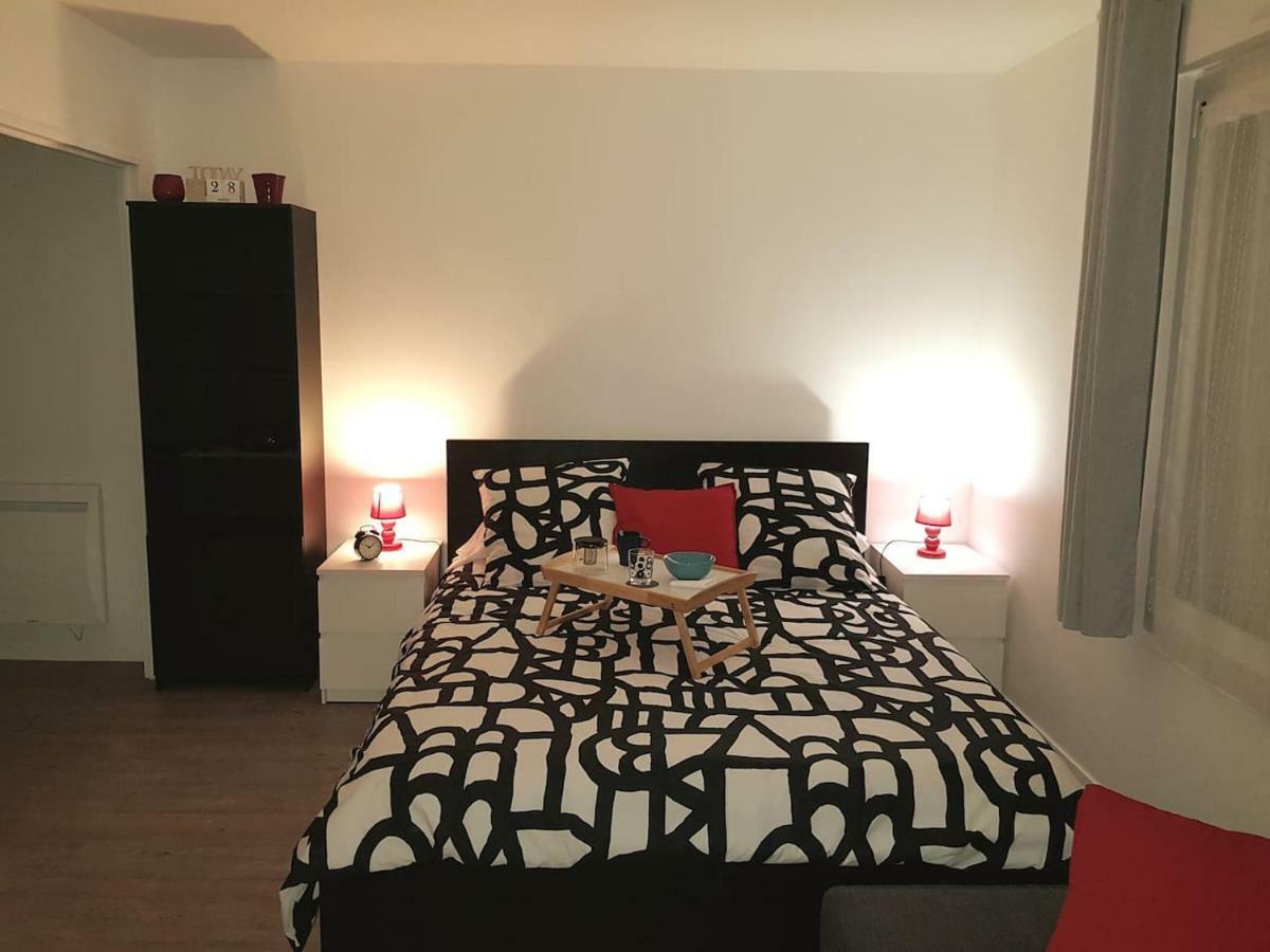 Appartement Centre Ville Proche Paris Disney Vincennes Transports Жуанвиль Экстерьер фото